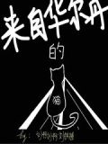 来自华尔丹的猫英文
