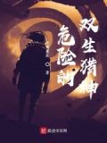 危险双生子主要内容