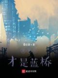 原来你才是蓝桥小说