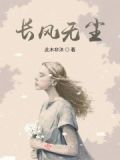 长风小说无声