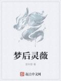 小说梦灵
