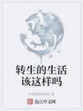 转生的生活该这样吗小说