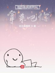 系统玩我的吧