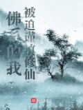 佛系作者