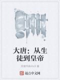 穿越大唐从生擒颉利开始