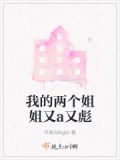 我的两个姐姐又a又彪漫画