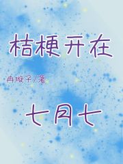 桔梗花开时