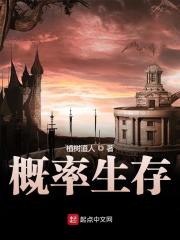 我在纽约翻译