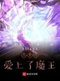 勇者爱上魔王的小说