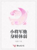 他的小将军