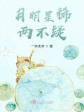 月明星稀意思是什么