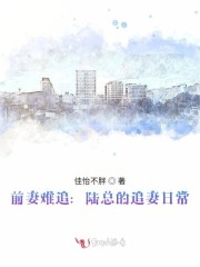 前妻难追:陆总的追妻日常小说