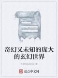 奇幻题材的小说