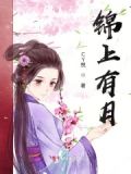 锦上歌词的故事