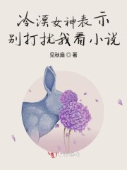 冷漠女神表示别打扰我看小说了