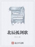 北辰剑仙