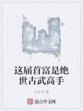 蓝火渡厄 石非语