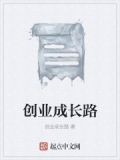 创业成长历程