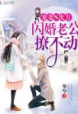 宠妻N次方：闪婚老公，撩不动