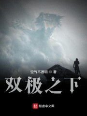 双极小说全文