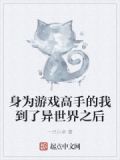 身为游戏高手的我到了异世界之后小说