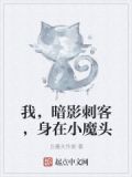 主角是暗影刺客的小说