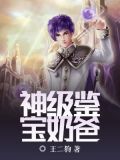神级鉴宝奶爸