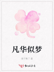 凡尘似锦什么意思