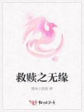 救赎之心小说