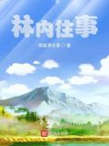 林内案例