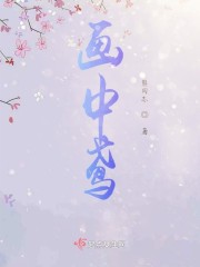 画中鸢什么意思