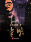 灵魂契约小说