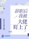 离职后大佬她又撩又美小说
