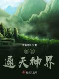 剑灵天系神功牌