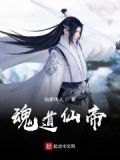 道祖,仙帝魂灯亮了