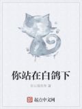 白鸽停在我的窗台上