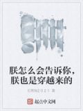 朕到底是什么意思