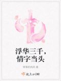 浮华三千对应的词