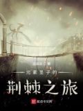 元素圣子的荆棘之旅在线观看