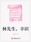 林先生什么意思