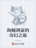 海贼剑豪之心好看吗