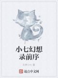 双生幻想小七服下载