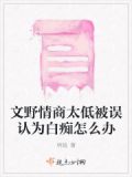 文野小说什么意思