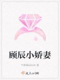 小说主角顾辰