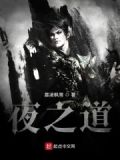 夜之道游戏攻略大全