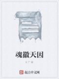 天魂奖励