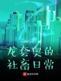 龙套日常结局