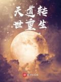 天道重生的小说