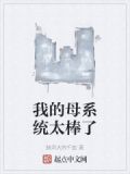 母系统与子系统的小说