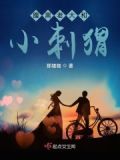 腹黑老大和小刺猬小说